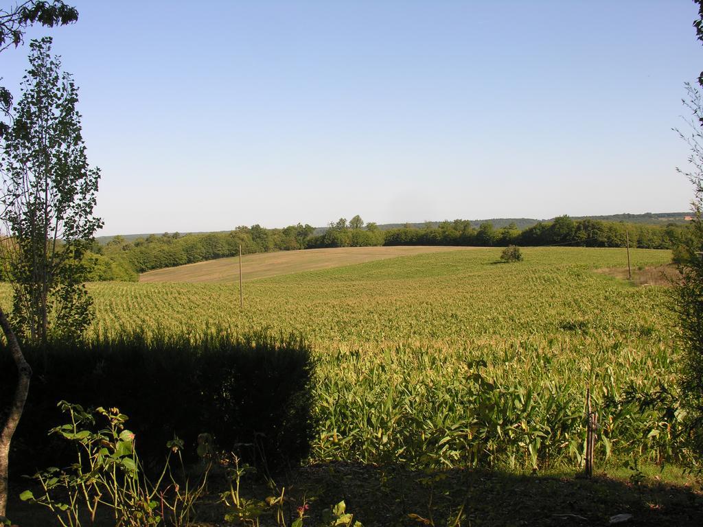 Country house Chez Annie